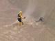 Amazing Dog Rescue Caught On Camera